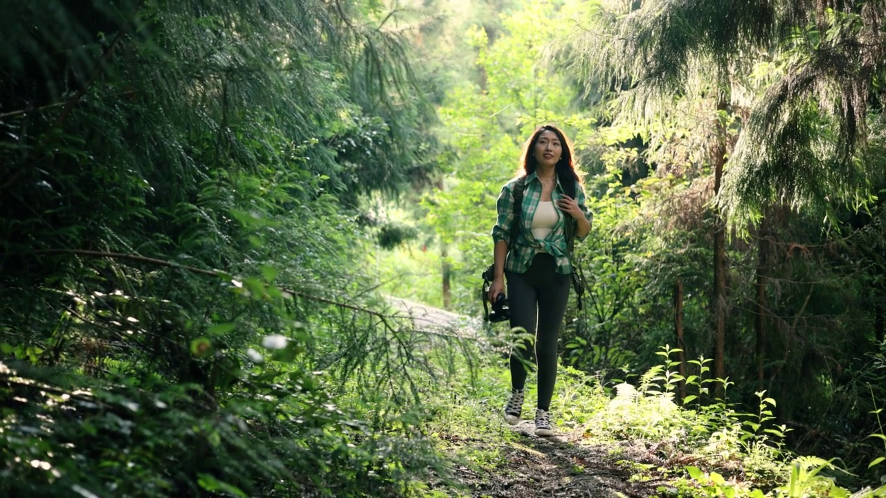 森林徒步旅行的女人视频素材