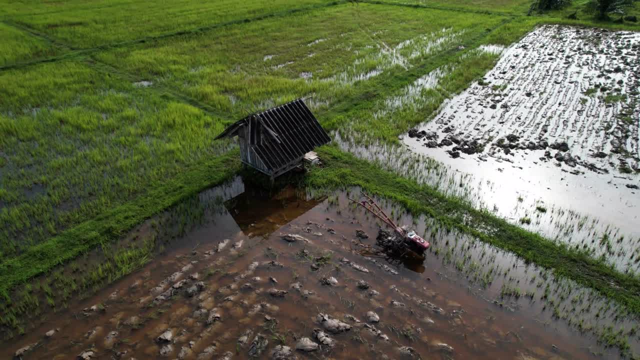 从空中拍摄的阳光下稻田的右图视频素材