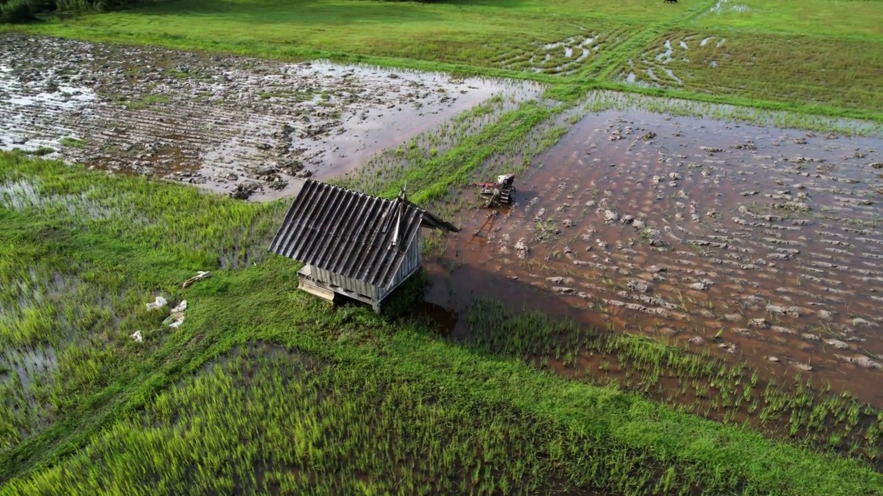 从空中拍摄的阳光下稻田的右图视频素材