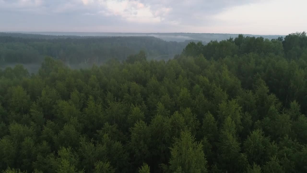 顿河日出，4K鸟瞰图晨雾日出，江面晨雾，神秘河日出鸟瞰图视频素材