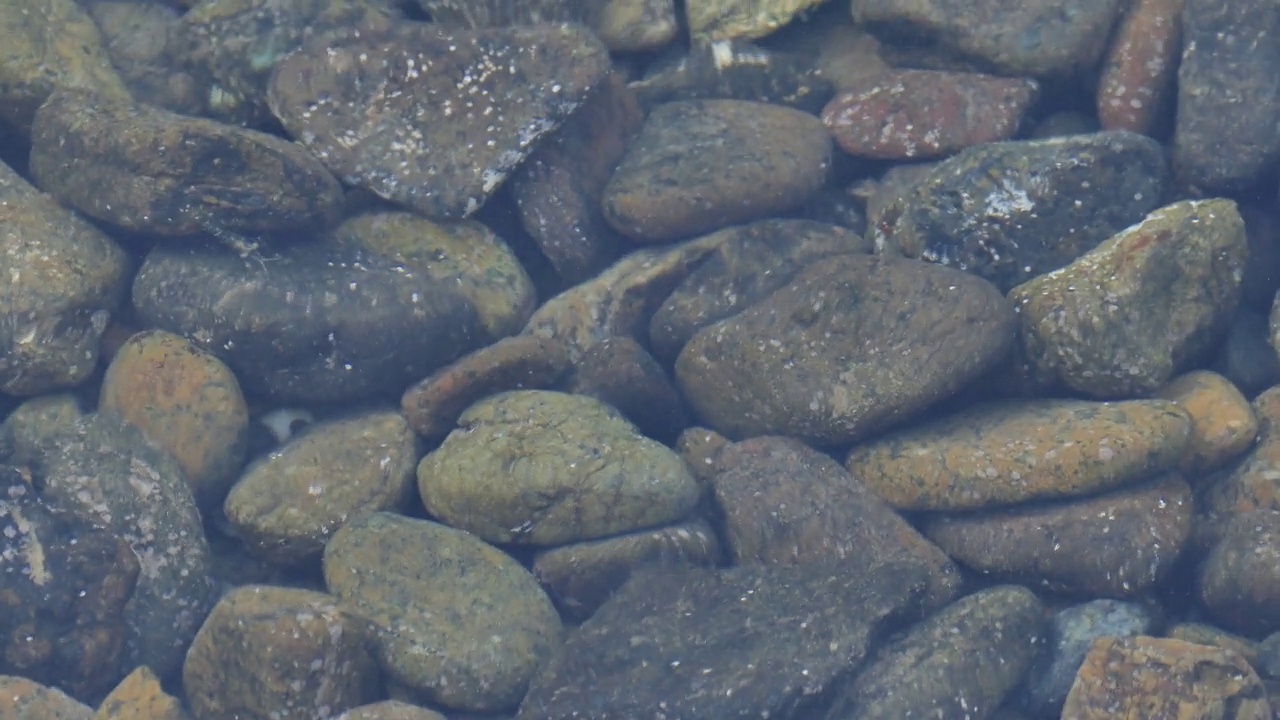 海浪平静地拍打着岸边的石头视频素材