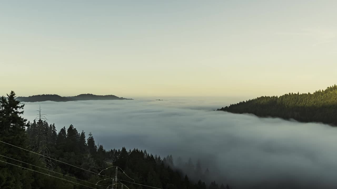 雾流动在杰克逊州立森林晴空时间流逝视频素材