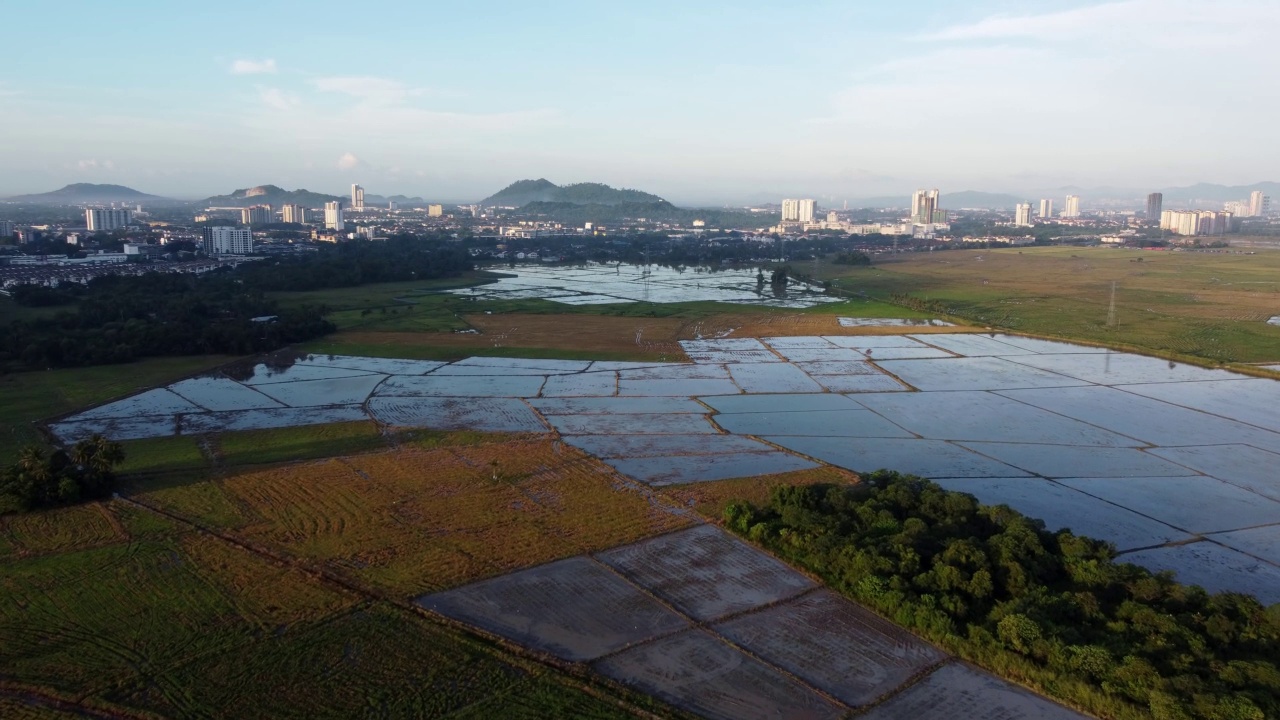 空中飞越不同格局的水田视频素材