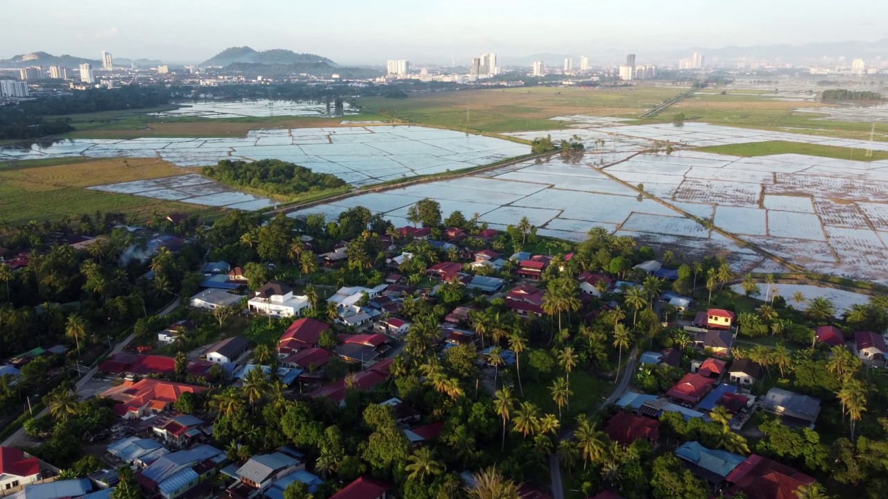 清晨，空中飞过马来当地的kampung视频素材