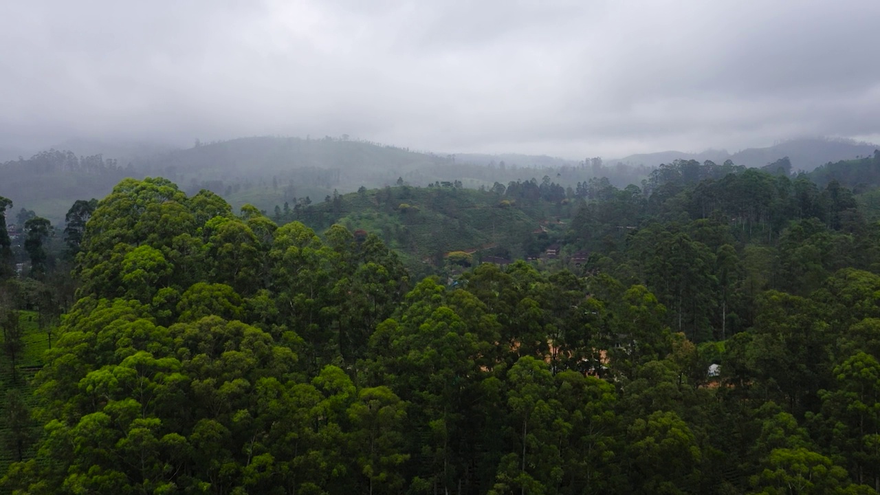 在一个多山省份的山坡上种植茶园。视频素材