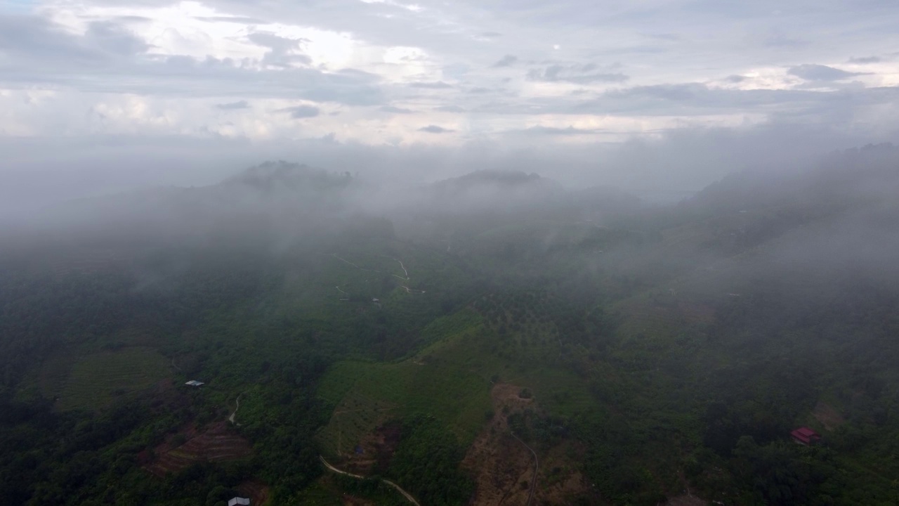 在高地低雾云上空的空中移动视频素材