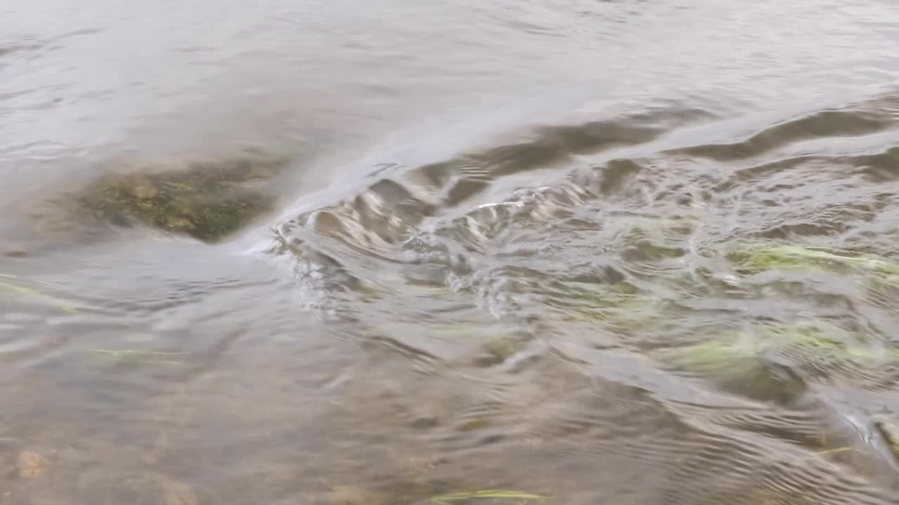 河里的水慢慢地流动特写视频素材