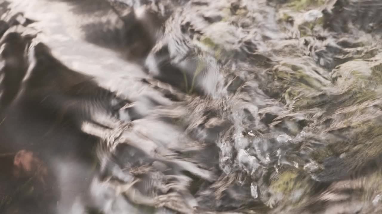 水和绿草在河里慢慢流动的特写视频素材