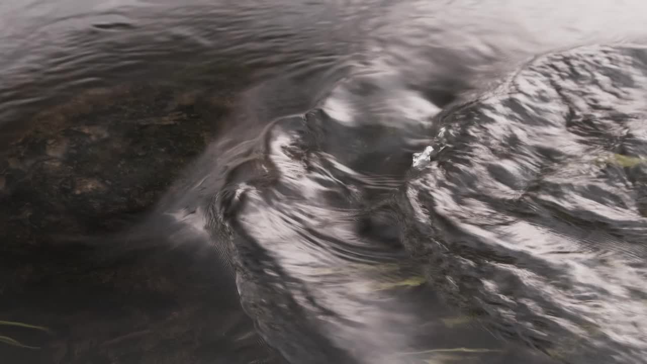 水和绿草在河里慢慢流动的特写视频素材