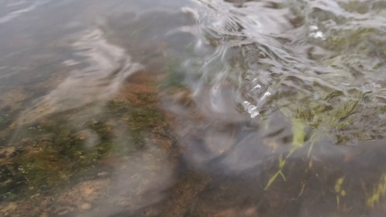 水和绿草在河里慢慢流动的特写视频素材