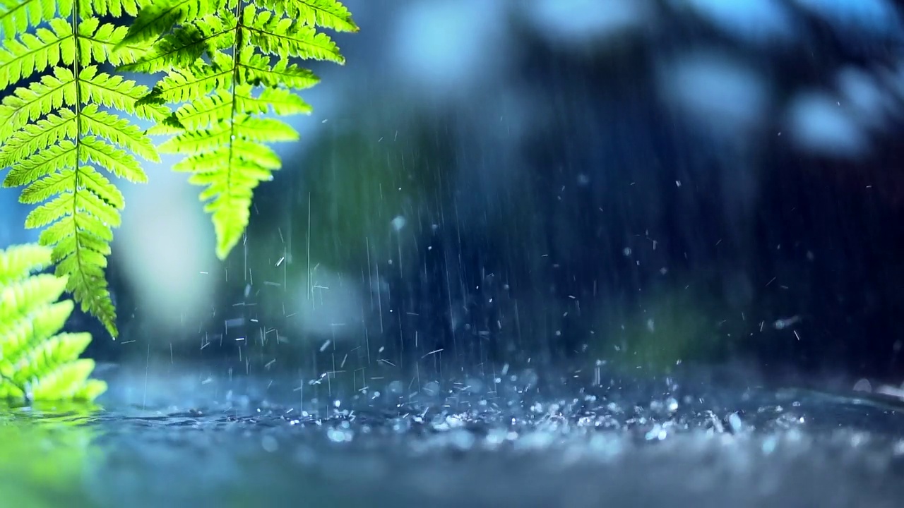 以棕榈树和雨林为背景的小雨。冥想和瑜伽与自然和谐相处视频素材