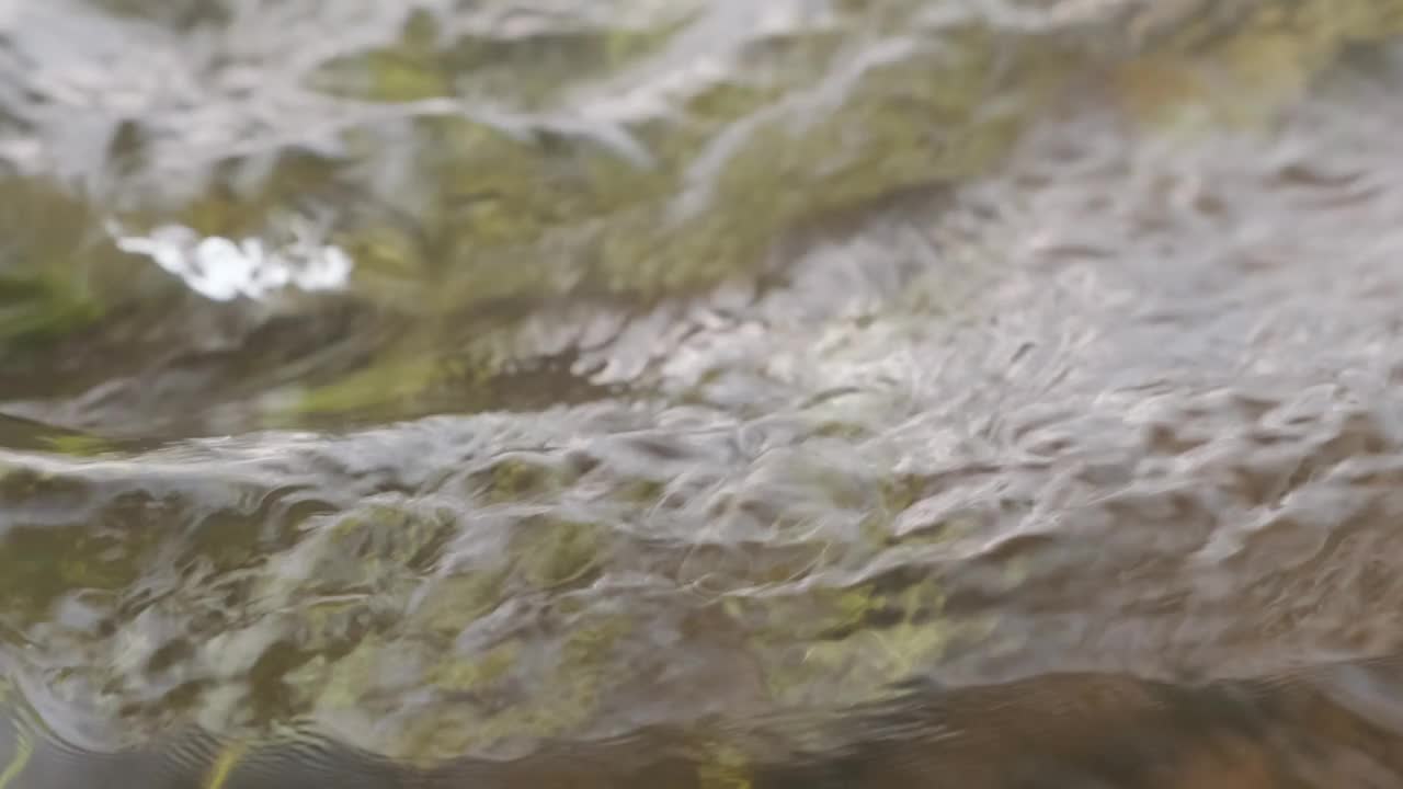 水和绿草在河里慢慢流动的特写视频素材