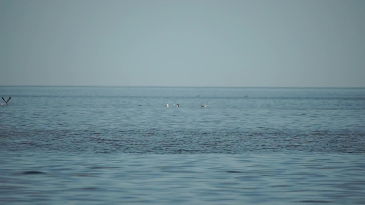 抽象海洋夏季海洋日落自然背景。小波浪水面上的运动模糊与金色的散景灯从太阳。度假、度假和休闲的概念。慢动作视频素材