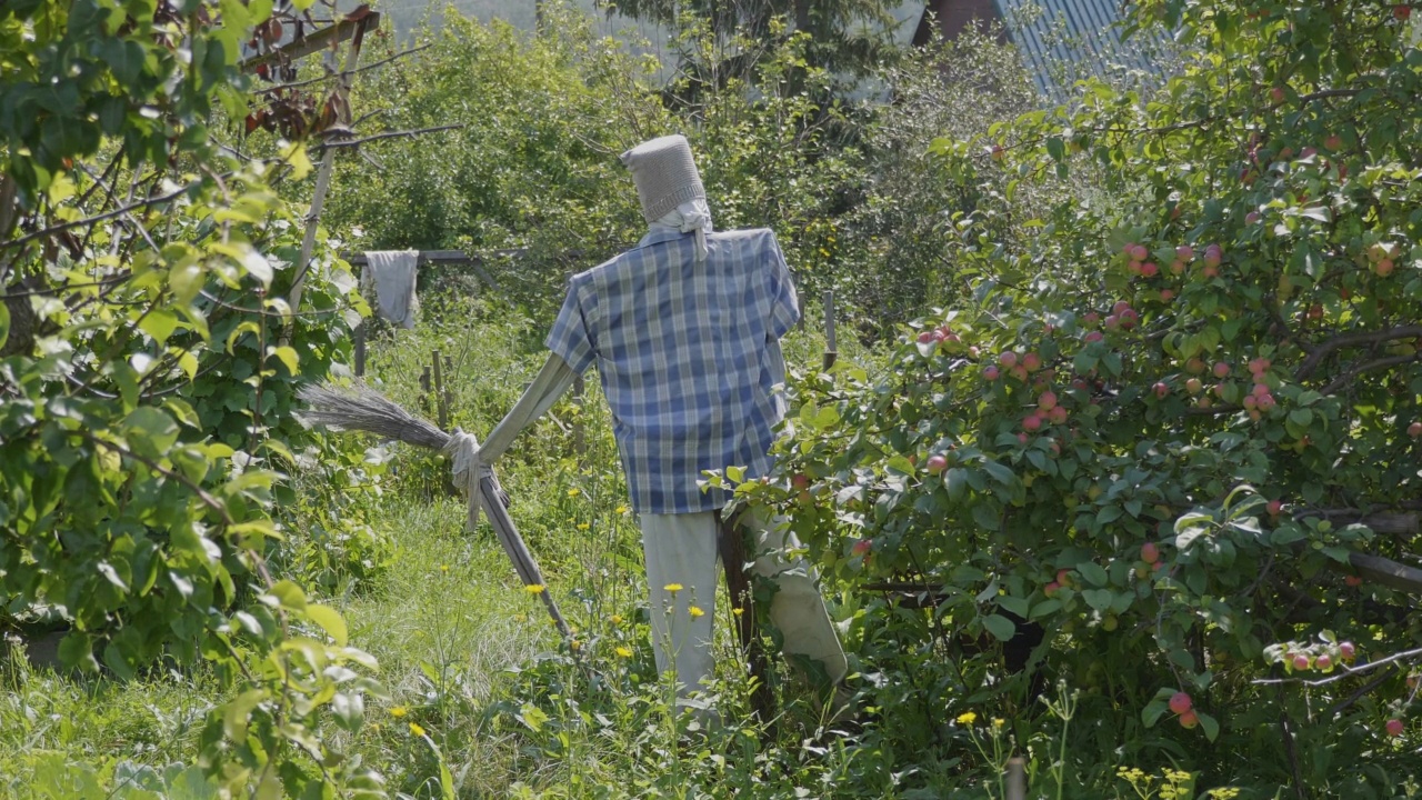 稻草人稻草人做来守卫田地视频素材