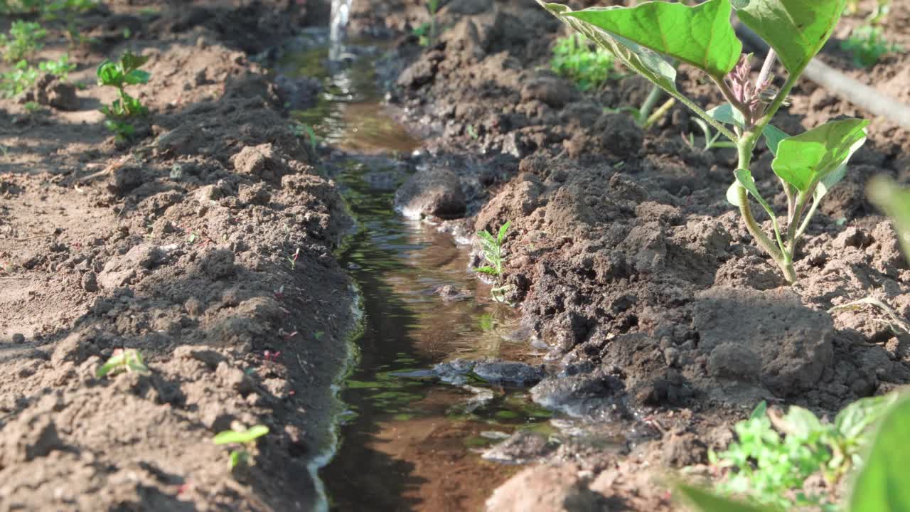 阳光明媚的日子里，水流通过小灌溉渠。视频素材