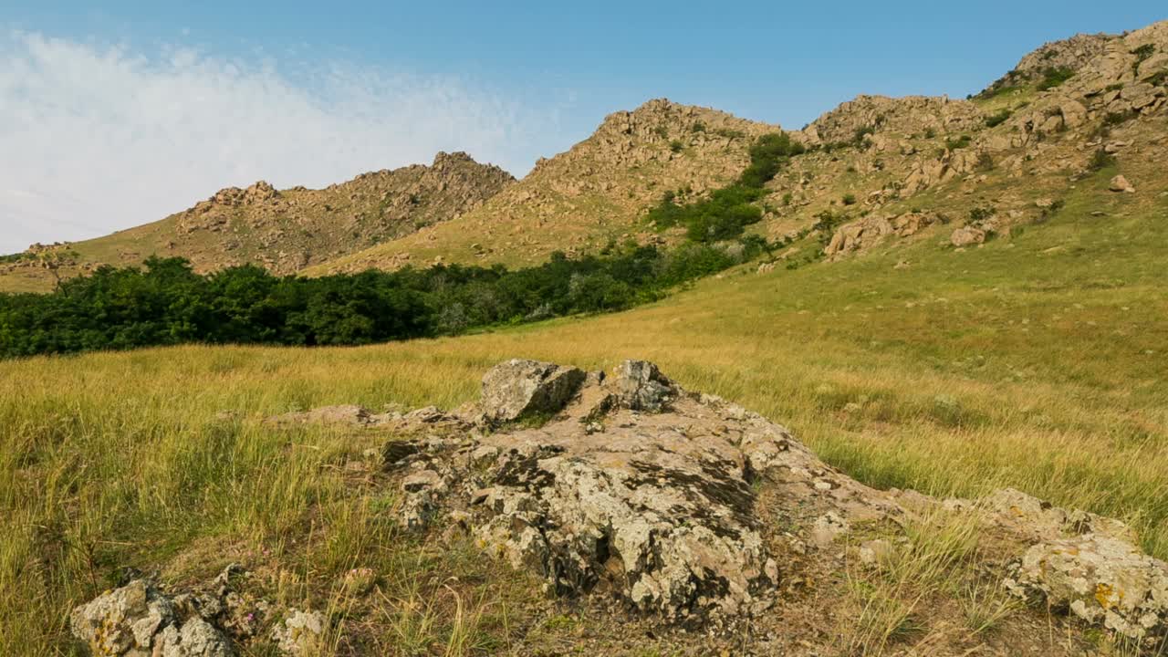 高山植被和落基山脉山峰视频素材