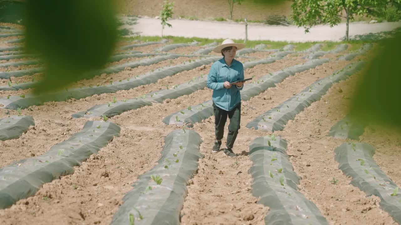 农民使用数字平板电脑和监测在她的农场，智能农场视频素材