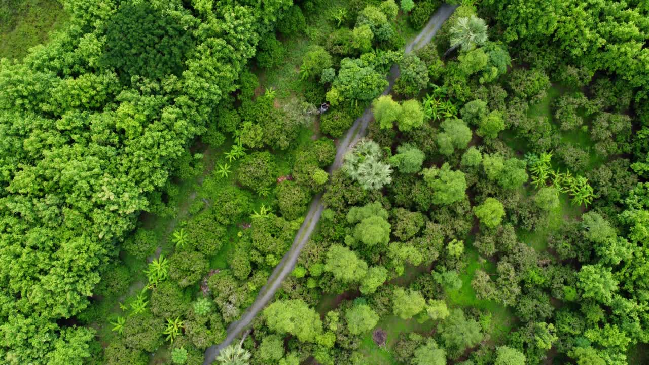 泰国北部农村雨季的鸟瞰图。无人机飞越森林，自然背景。飞越森林，自然背景运动。视频素材