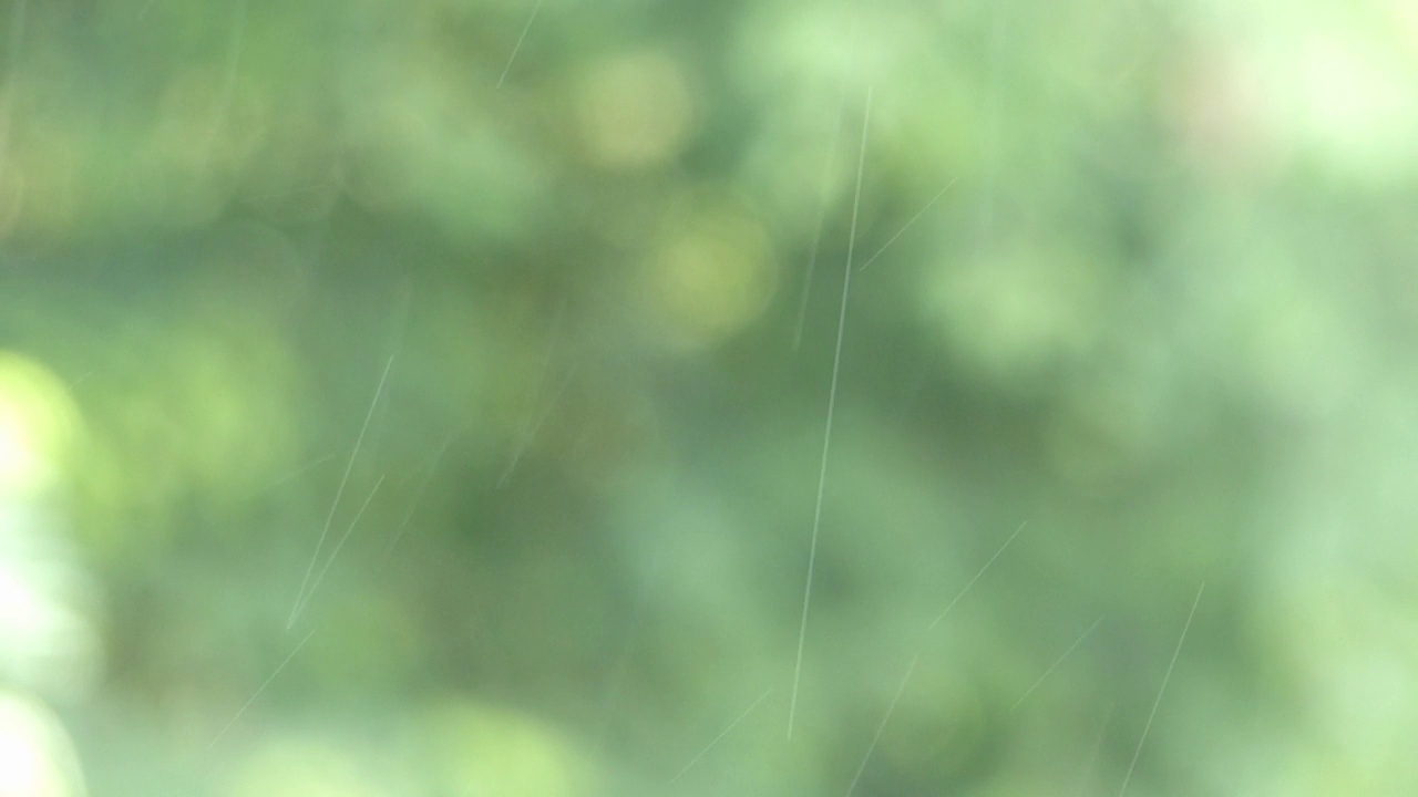 毛毛细雨、雨滴和模糊的绿色自然背景视频素材