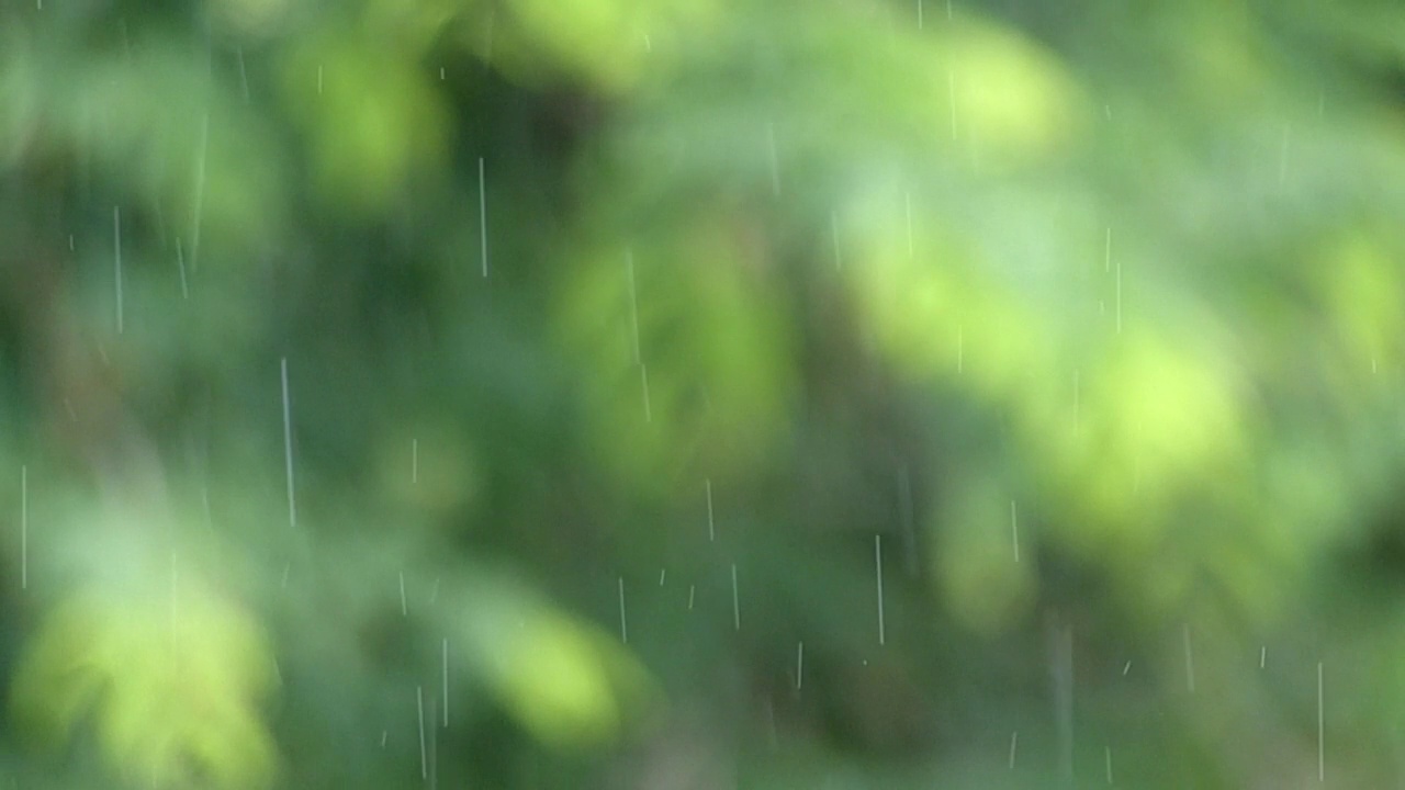 慢动作视频的毛毛雨，雨滴和模糊的绿色自然背景视频素材