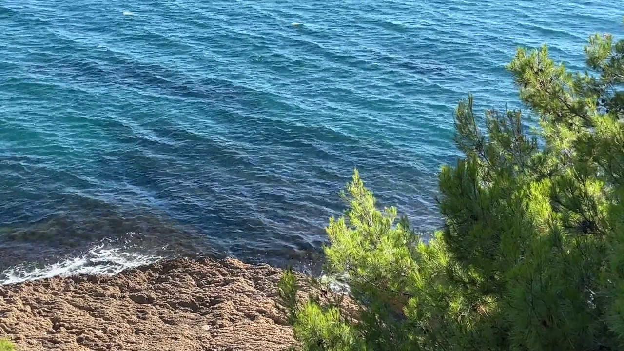 夏天岩石海岸上的松树。美丽的多岩石的地中海海岸。视频素材