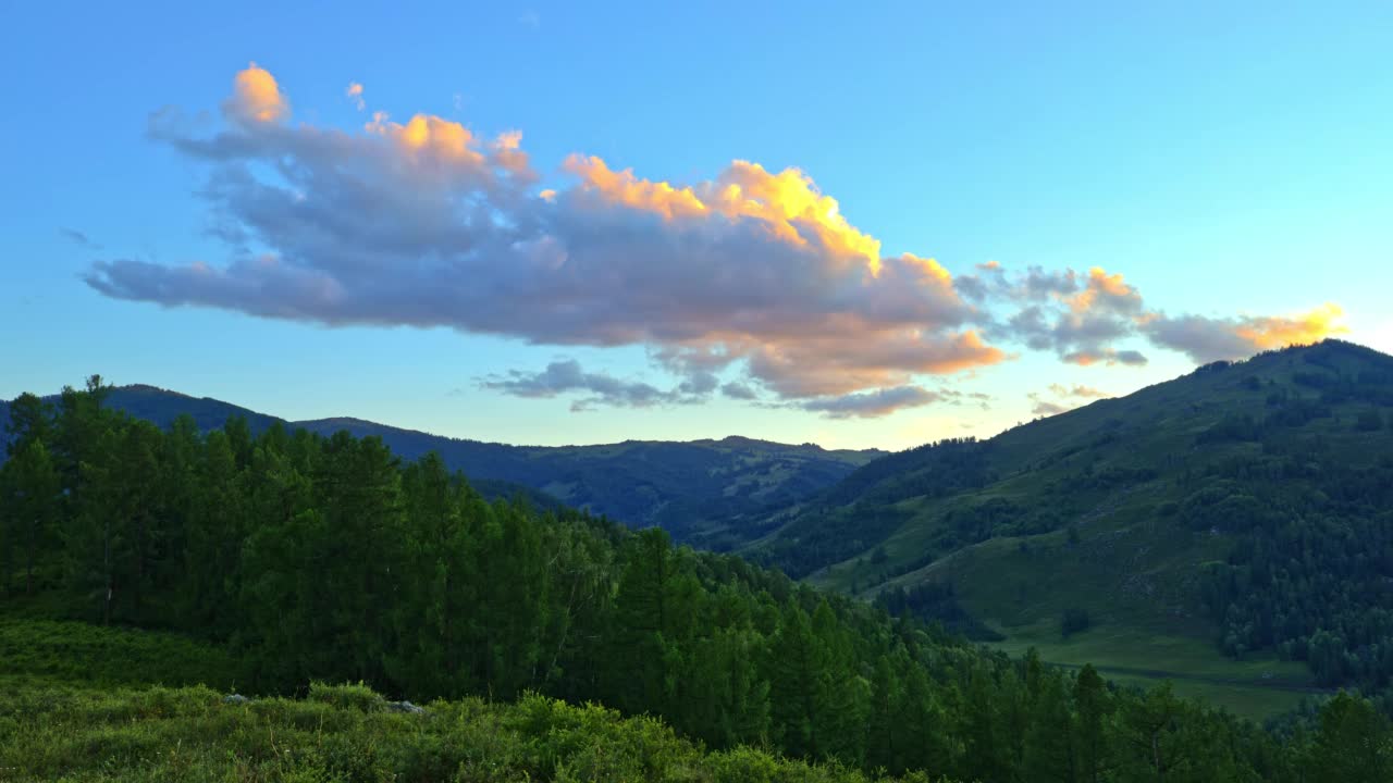 新疆绿林青山自然风光视频素材