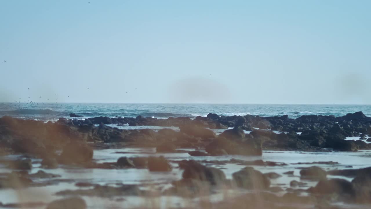 大静郡附近的海边/西归浦市，济州岛，韩国视频素材