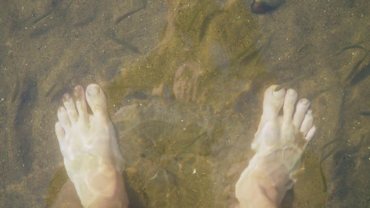 小鱼在河边做足底按摩、水疗。清澈的海水，沙质的水底。视频素材