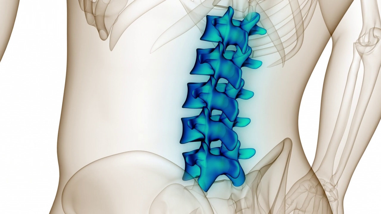 脊髓、脊柱、腰椎人体骨骼系统解剖动画概念视频素材