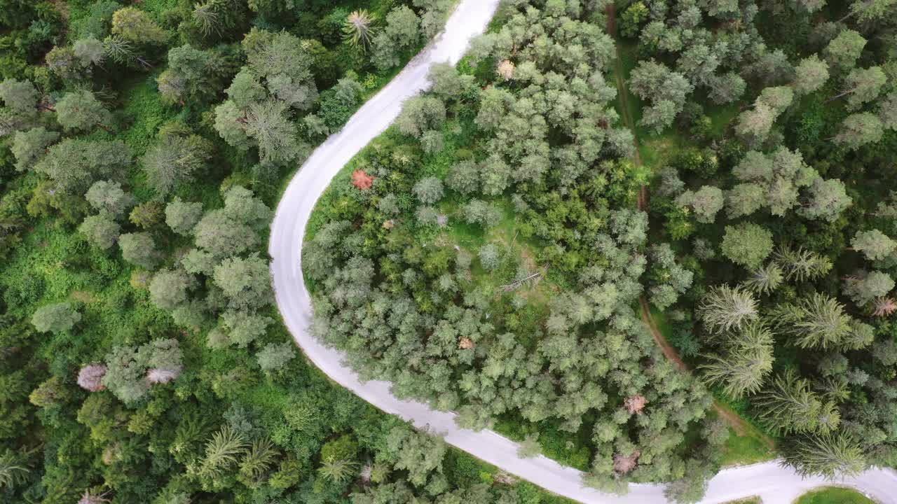 雨林中蜿蜒道路的鸟瞰图视频素材