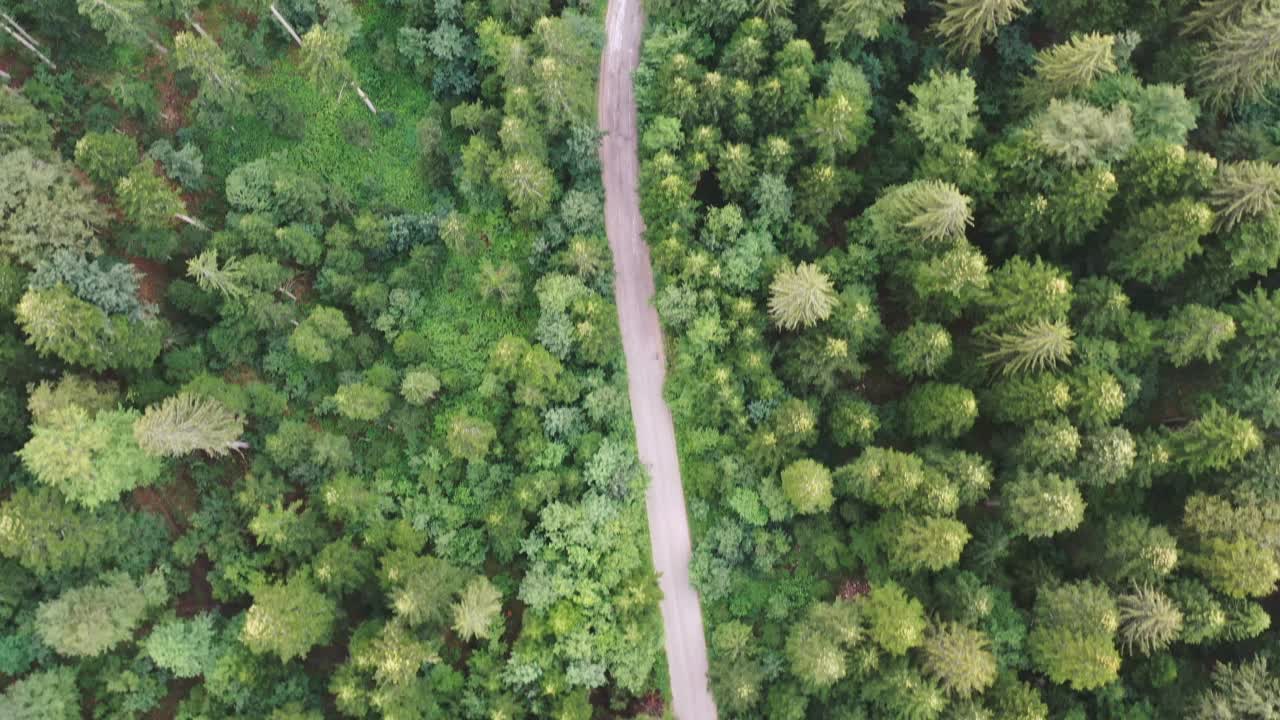 雨林中蜿蜒道路的鸟瞰图视频素材