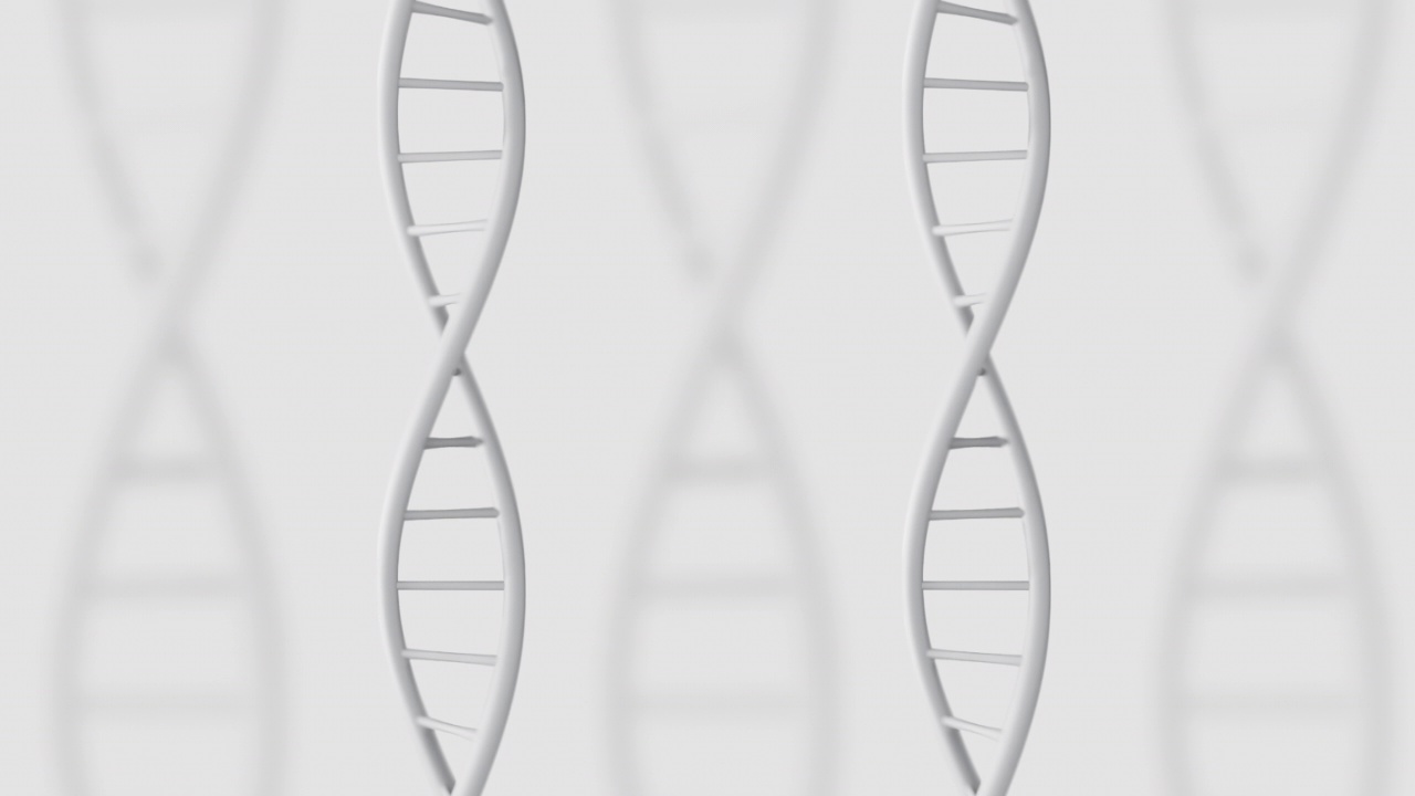 白底DNA视频素材