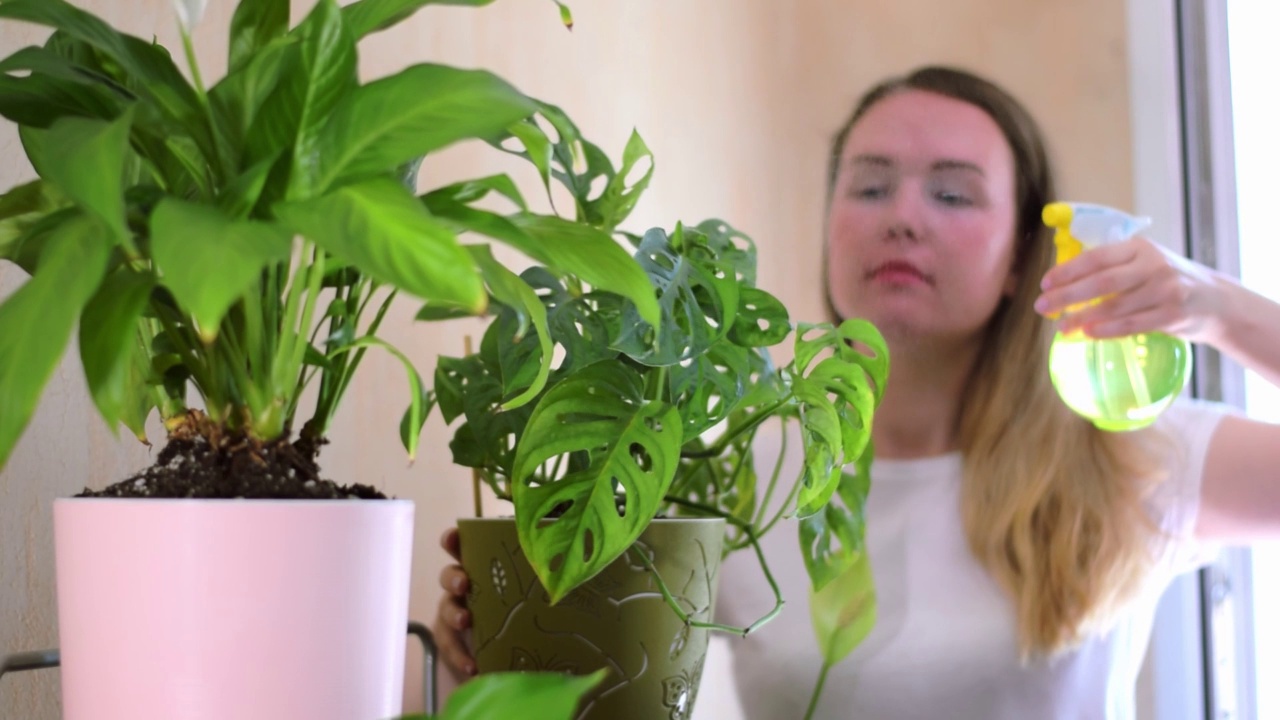 一名年轻女子正在花盆里喷洒怪兽菌视频素材