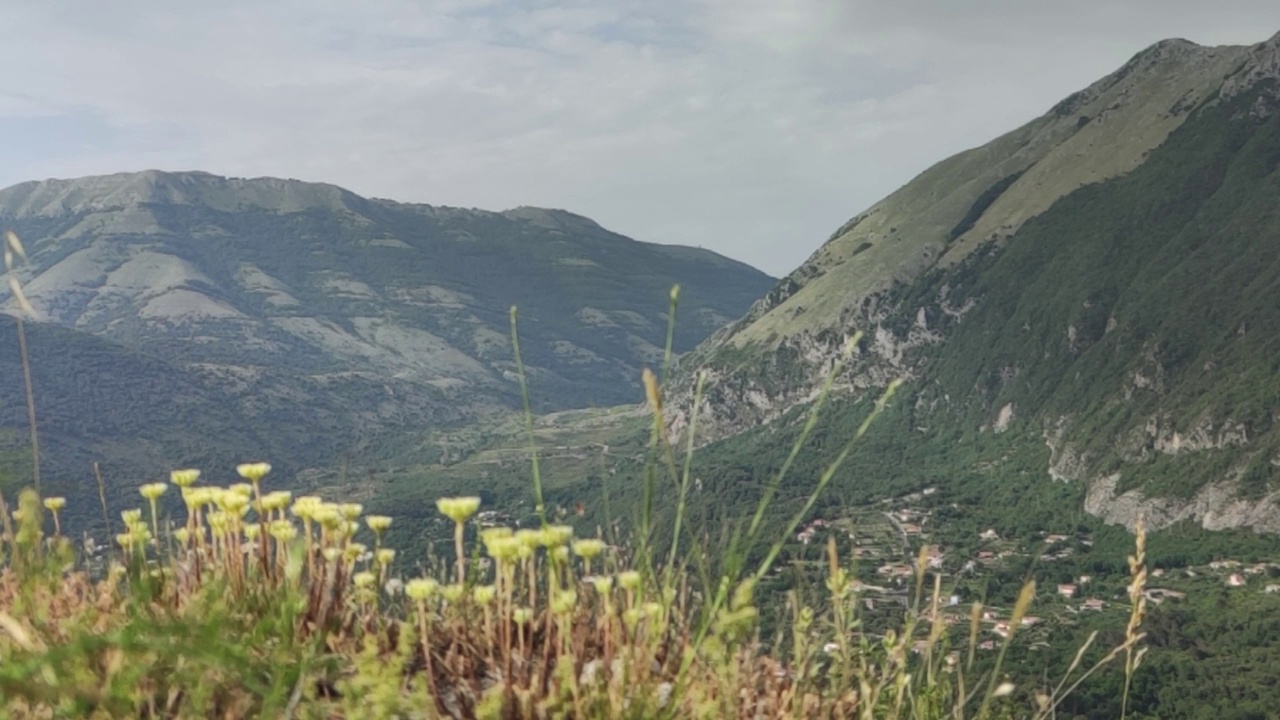 草与山背景是美丽的风景。这是一个史诗般的自然背景，在他们的自然环境中，潘帕斯草原在天空和山上的云的衬托下。视频素材