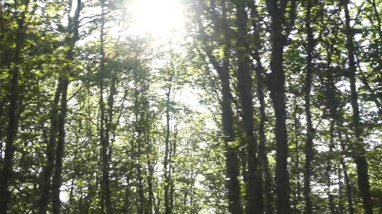 马其顿的奥索戈沃山深处的夏天视频素材