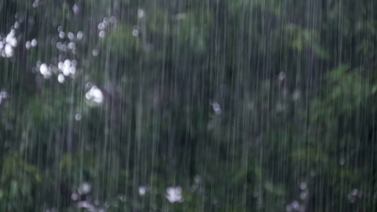 大雨和模糊的树在风中吹在背景上。视频素材