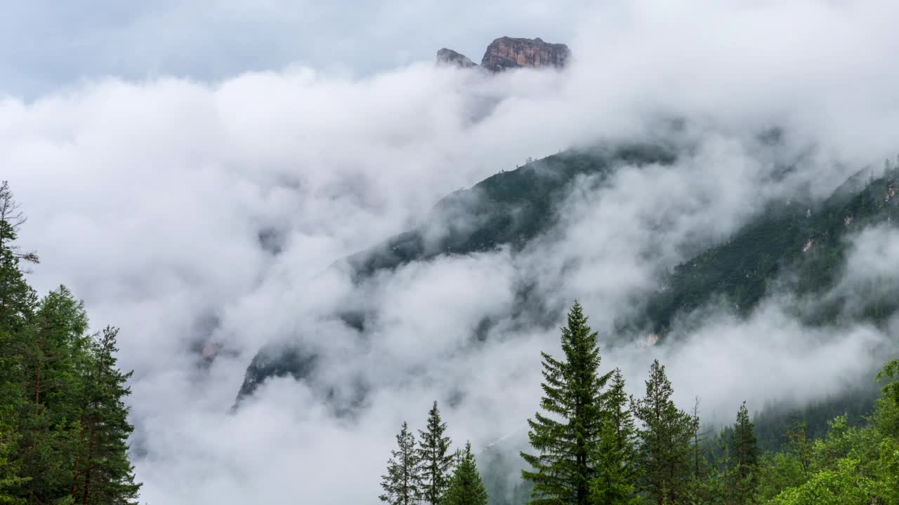 时间推移日落场景的云滚动移动对山冷杉树，白云石，意大利。视频素材