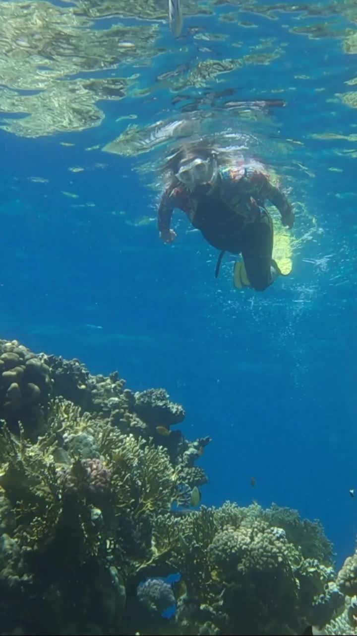 穿着潜水装备的女子在水面上游泳，观察海洋生物。女浮潜者在水下游泳，看着热带鱼视频素材