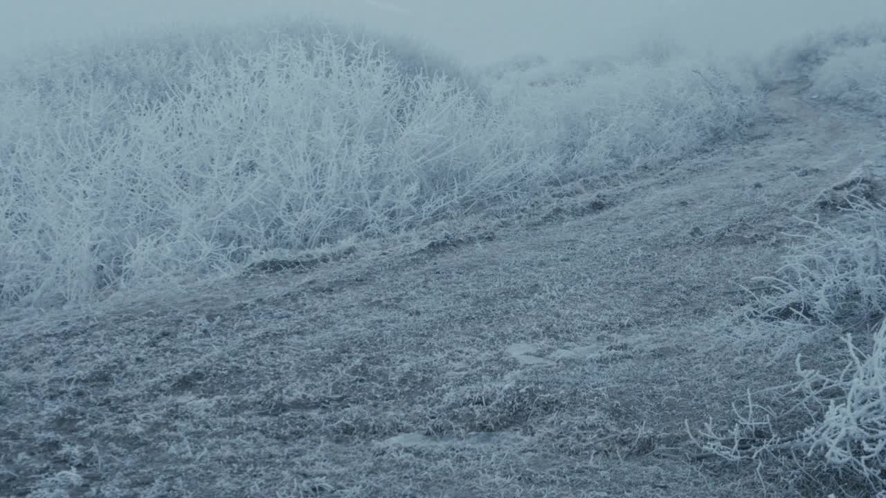 冬季景观中的小径视频素材