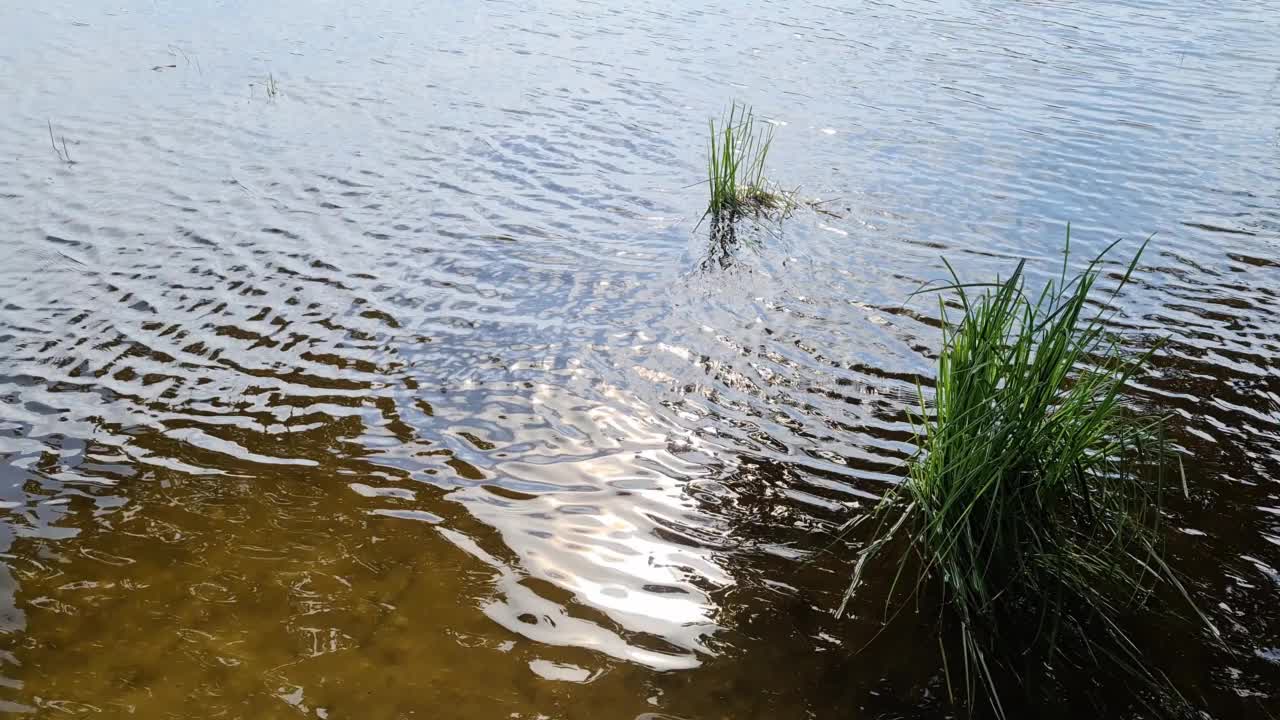 湖面反光的美丽风景视频素材