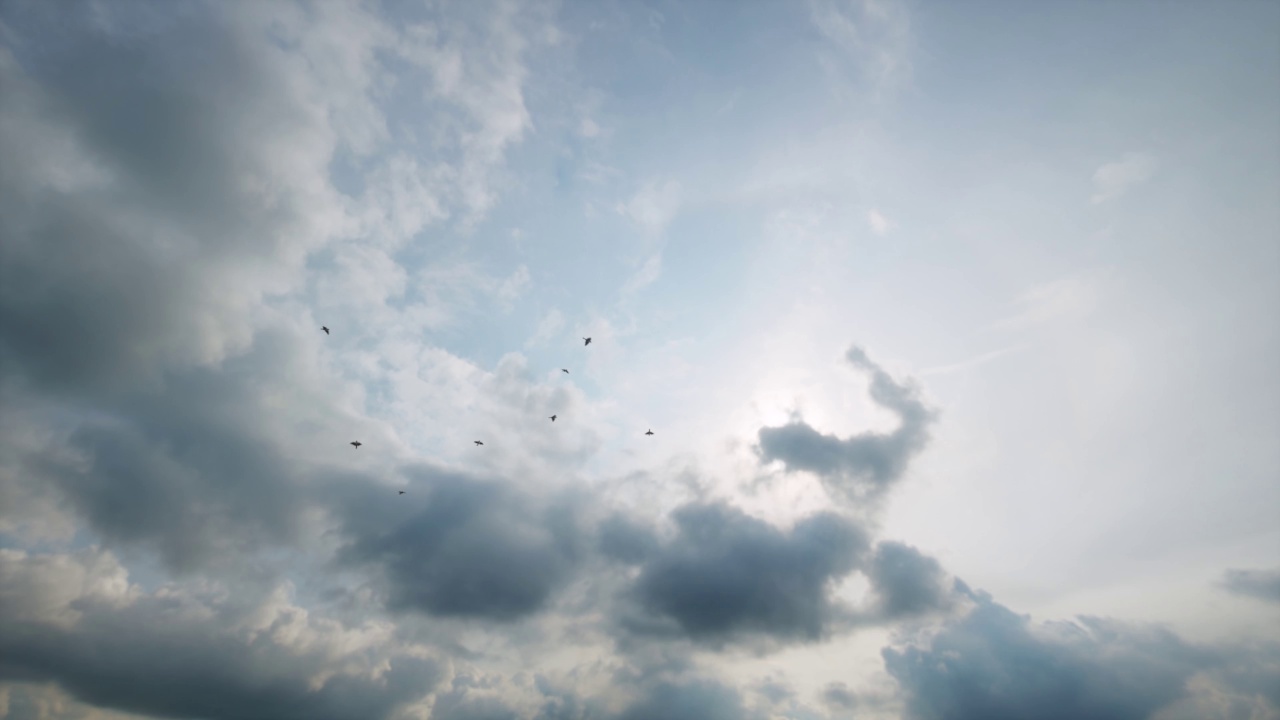 飞鸟夏天的天空空中蓝天白云4k视频素材