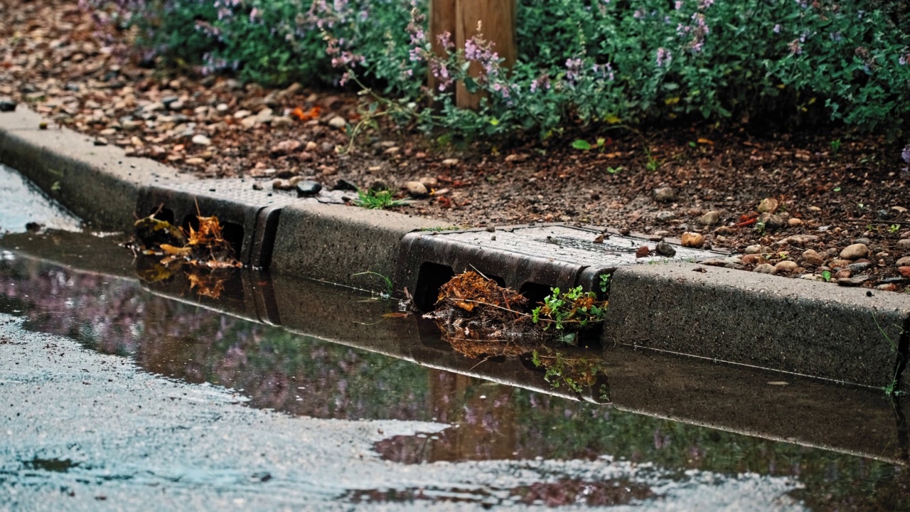 暴雨期间，街道排水管道被树叶和臭虫堵塞视频素材