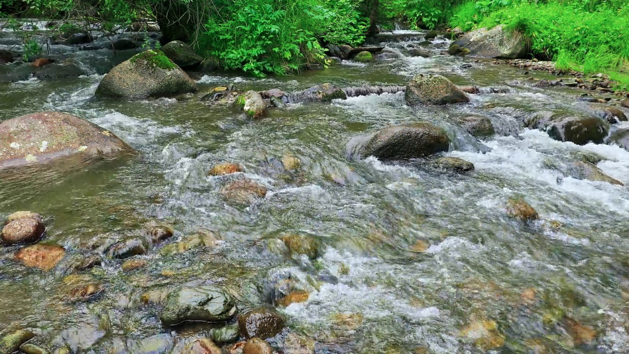 山中缓缓流淌的小溪的特写视频素材