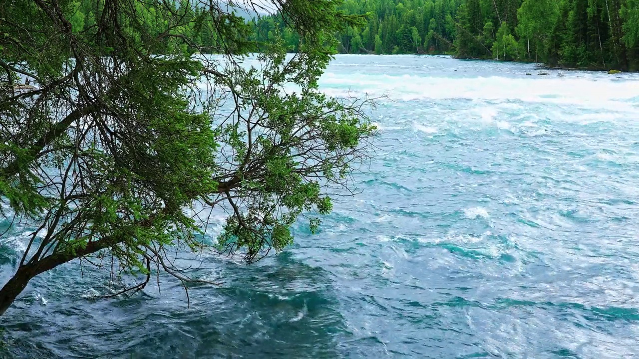 流淌的河流是新疆的自然景观视频素材