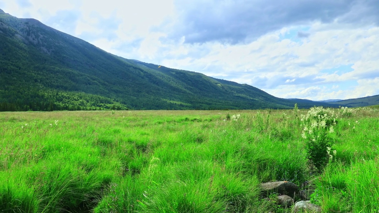 新疆绿色草原和山地自然景观视频素材