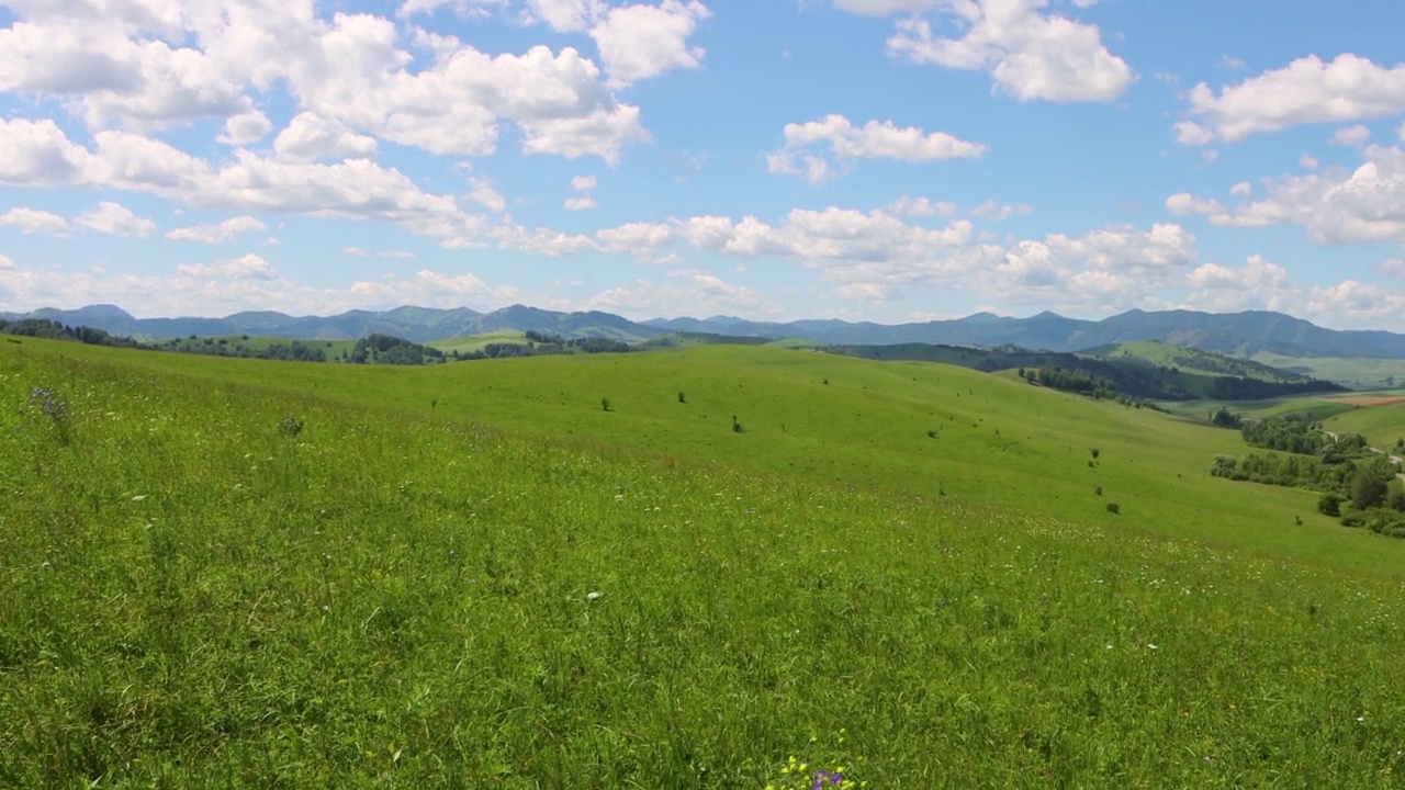 夏天山麓景观。碧绿的草地，蓝天白云。阿尔泰。视频下载