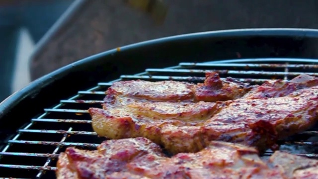 准备烧烤篝火和香肠，肉，牛排，鸡肉德国。视频素材