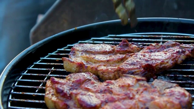 准备烧烤篝火和香肠，肉，牛排，鸡肉德国。视频素材