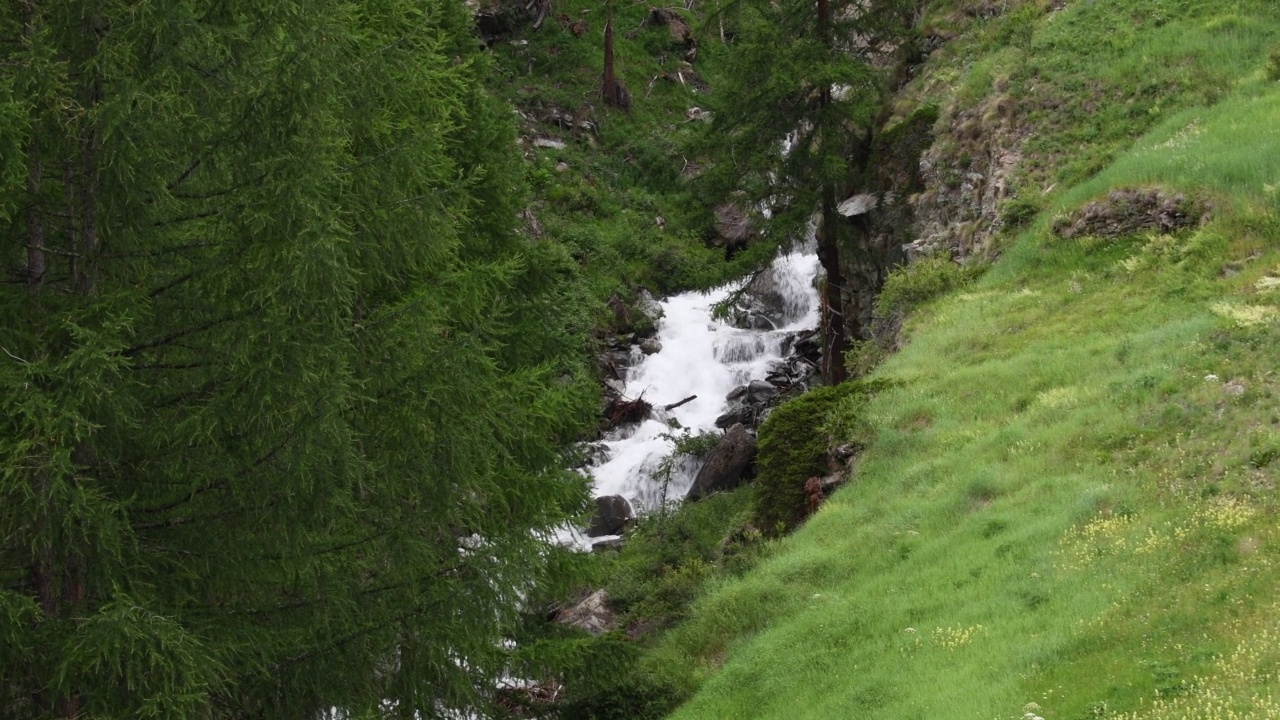 山河流经绿色的森林。瑞士阿尔卑斯山，晶莹的冰川水，山泉。视频下载