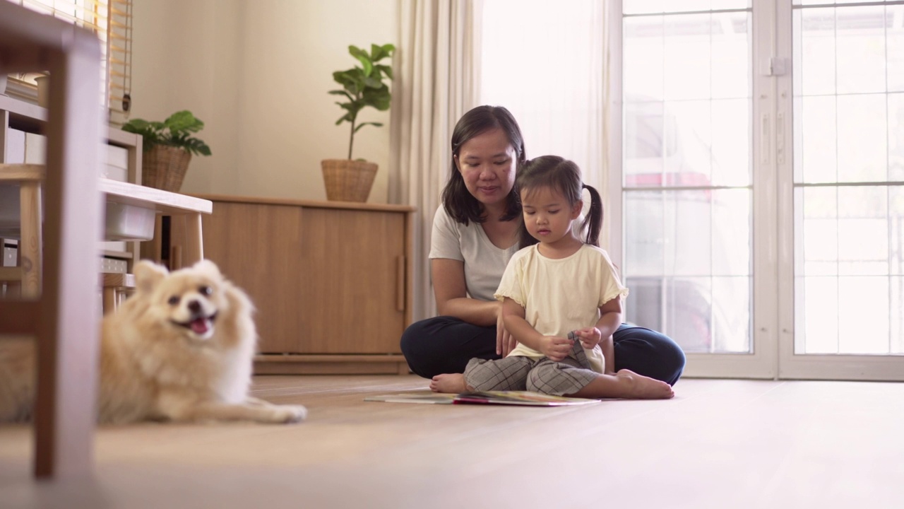 周末快乐的家庭时光在家里和狗狗一起看书的场景视频素材